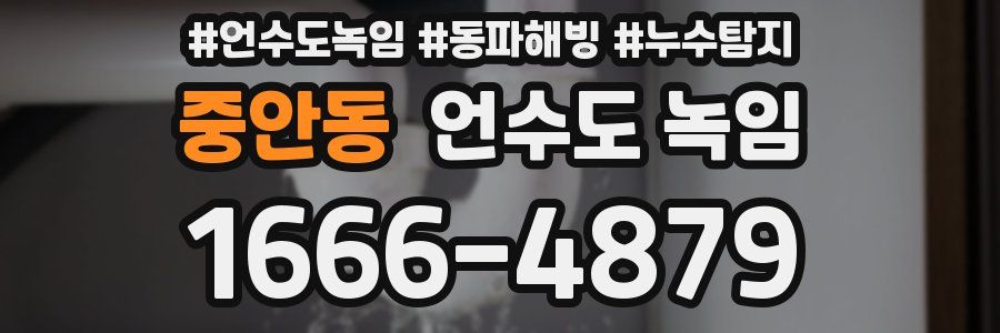 중안동 언수도 녹임