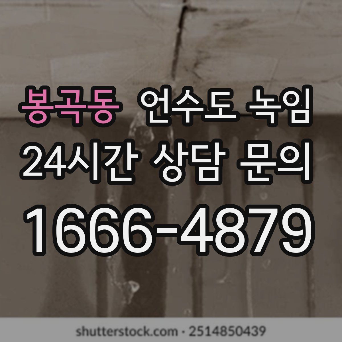 봉곡동 언수도 녹임