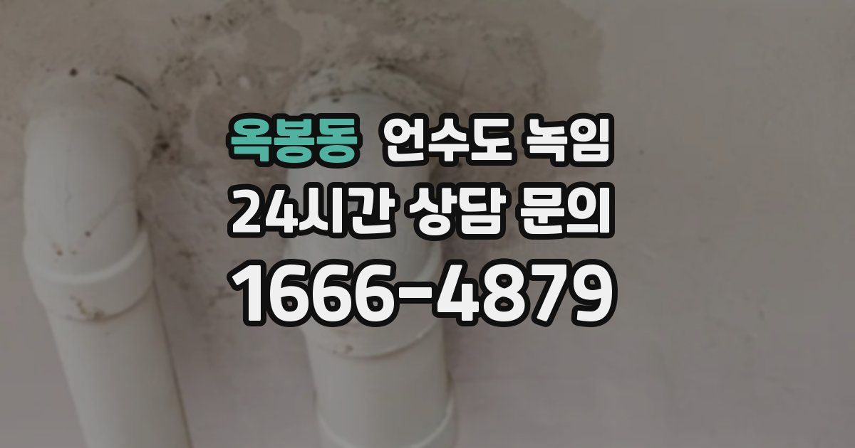 옥봉동 언수도 녹임