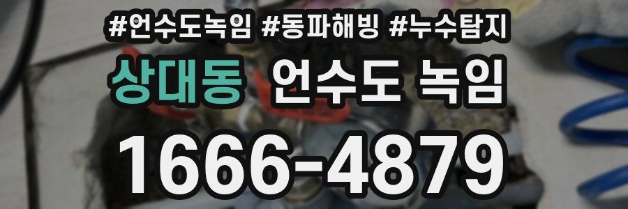 상대동 언수도 녹임