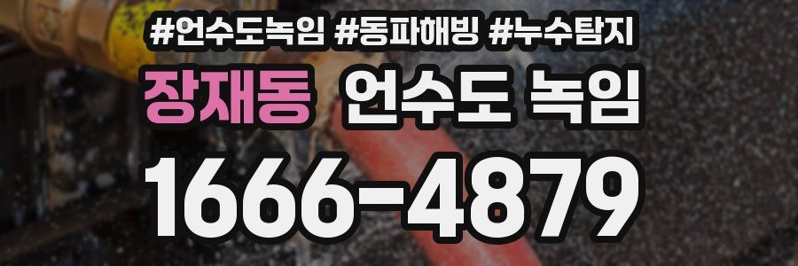 장재동 언수도 녹임