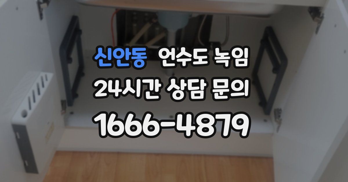 신안동 언수도 녹임