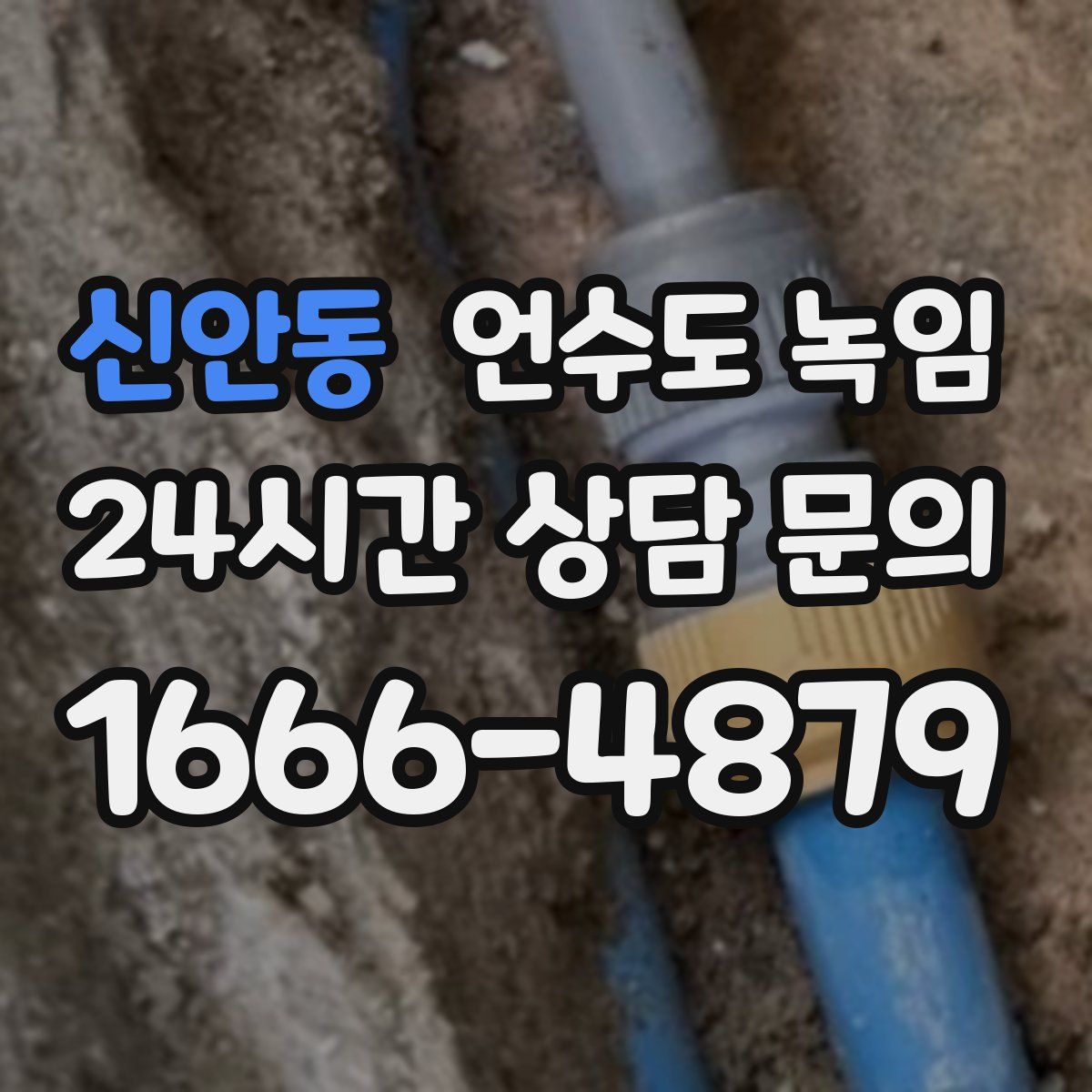 신안동 언수도 녹임