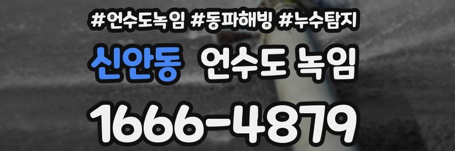 신안동 언수도 녹임