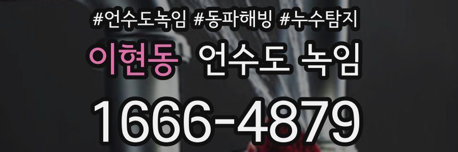 이현동 언수도 녹임