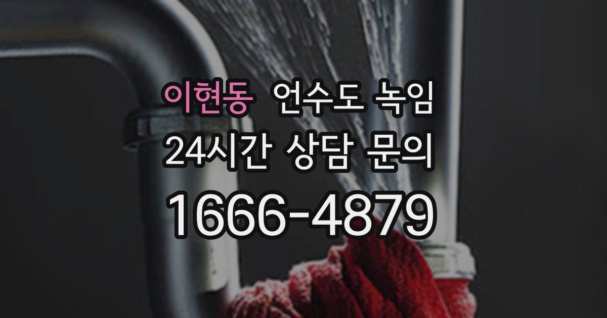 이현동 언수도 녹임