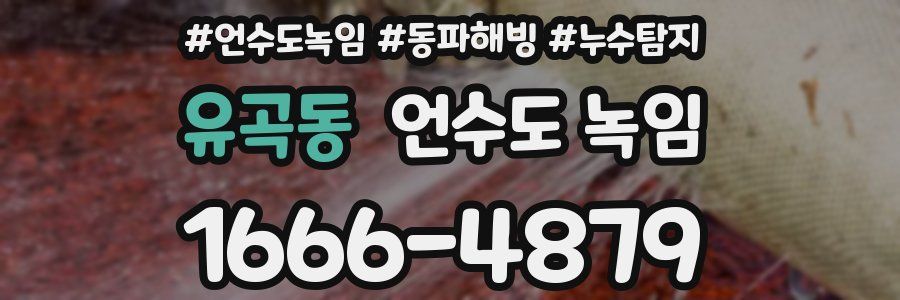 유곡동 언수도 녹임