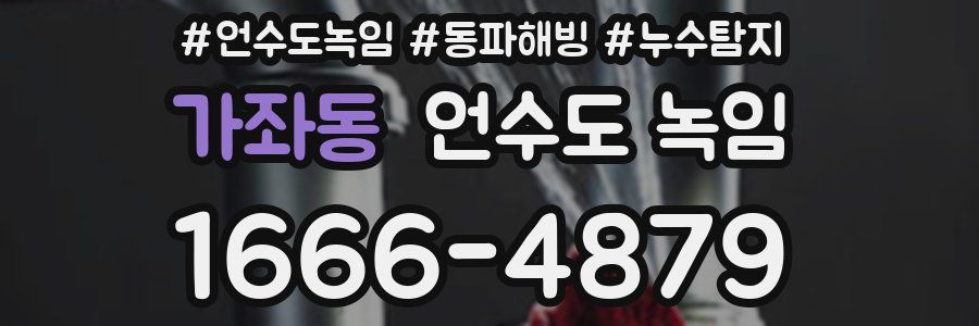 가좌동 언수도 녹임