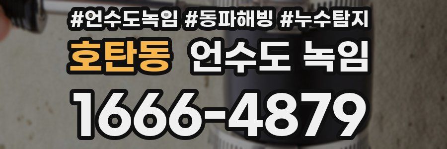 호탄동 언수도 녹임