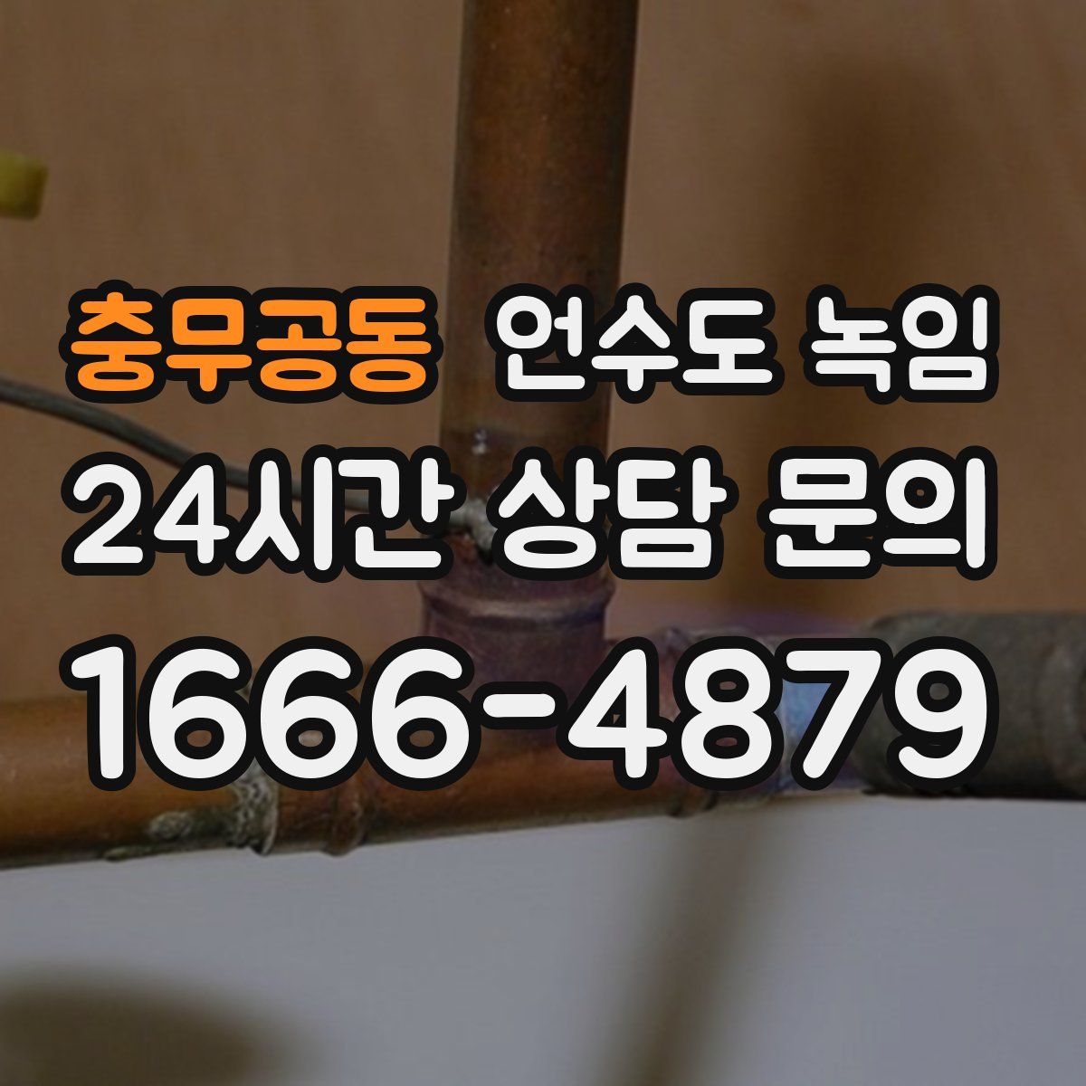 충무공동 언수도 녹임