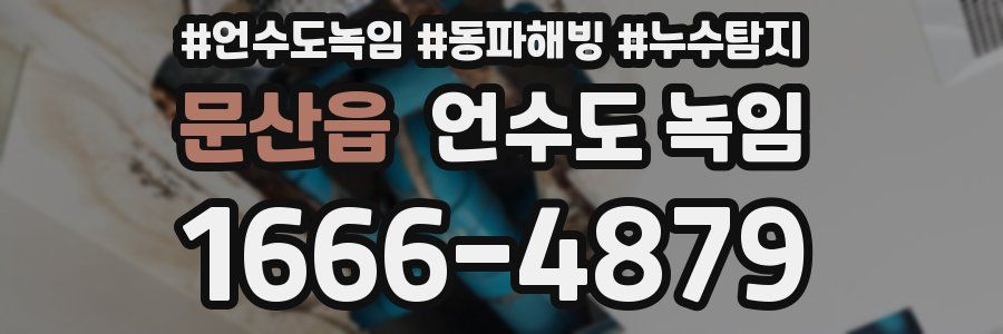 문산읍 언수도 녹임