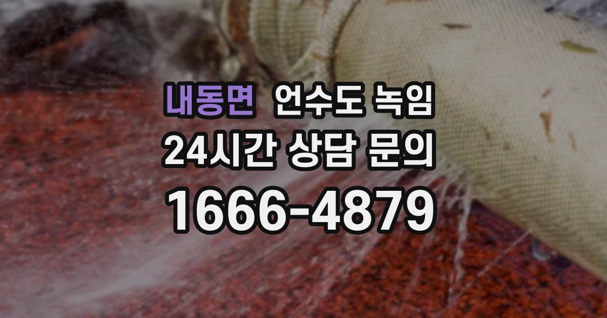 내동면 언수도 녹임