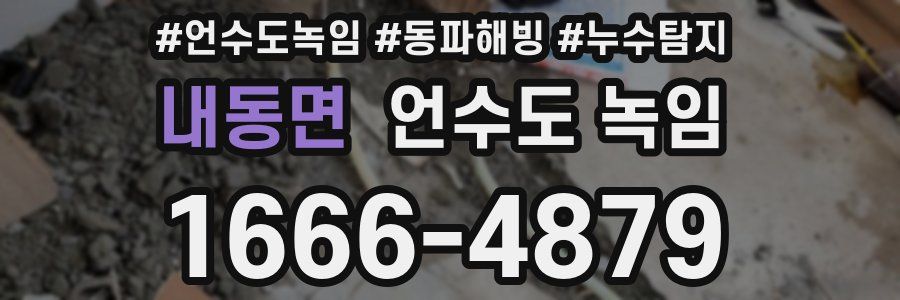 내동면 언수도 녹임