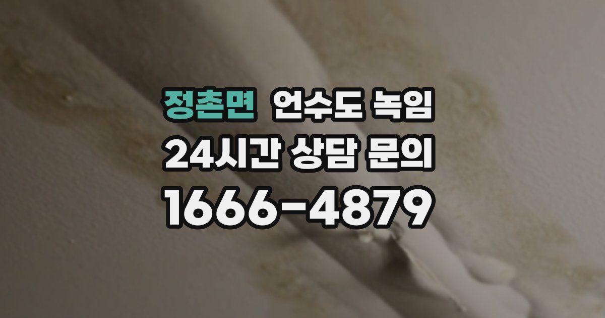 정촌면 언수도 녹임