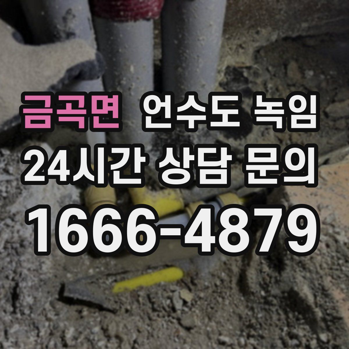 금곡면 언수도 녹임