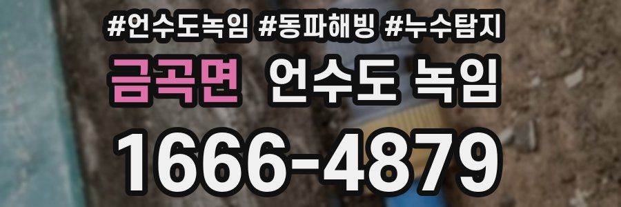 금곡면 언수도 녹임