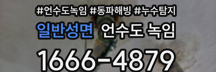 일반성면 언수도 녹임