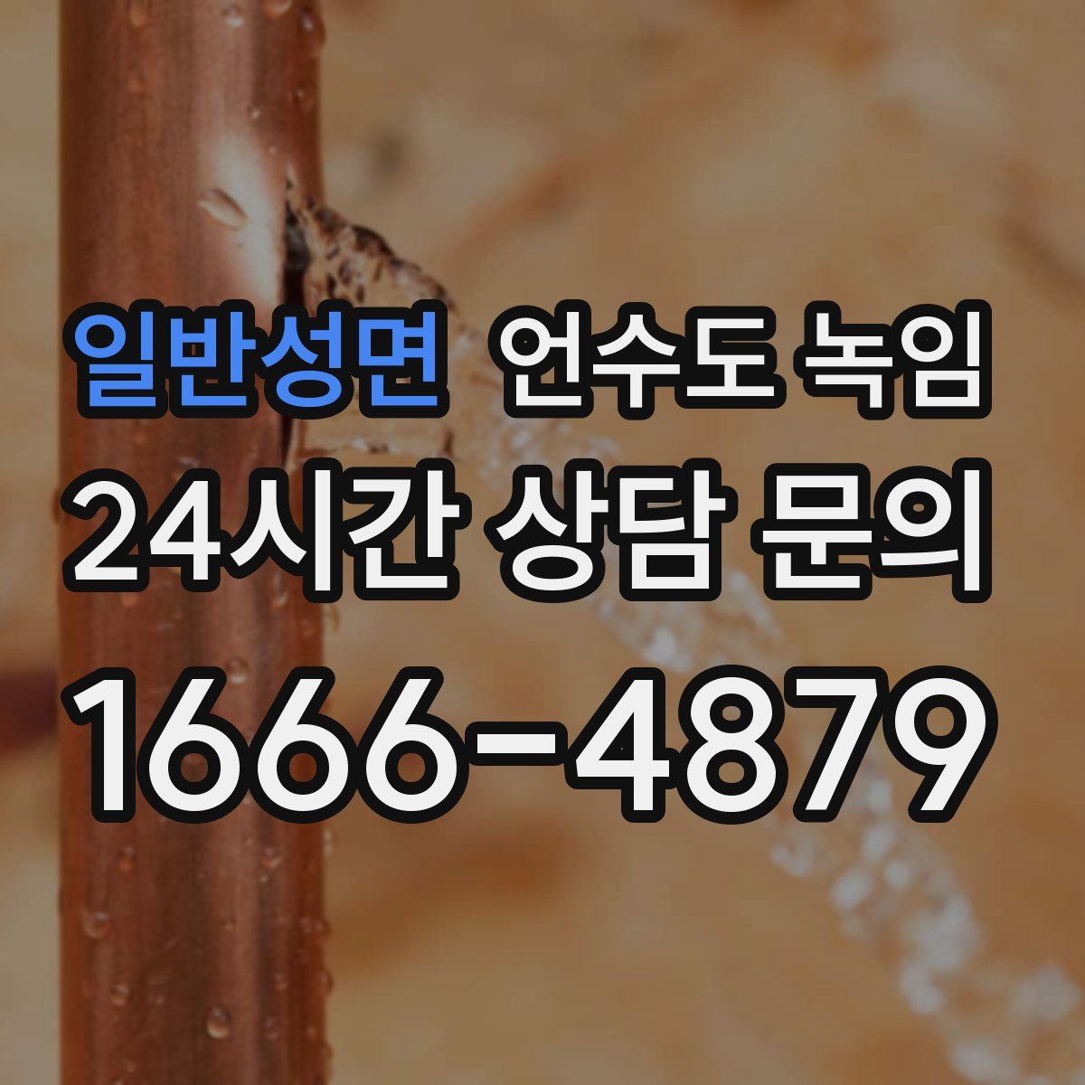 일반성면 언수도 녹임