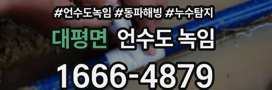 대평면 언수도 녹임