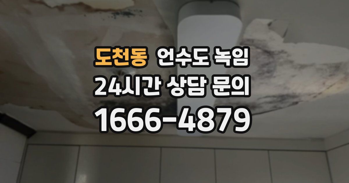 도천동 언수도 녹임