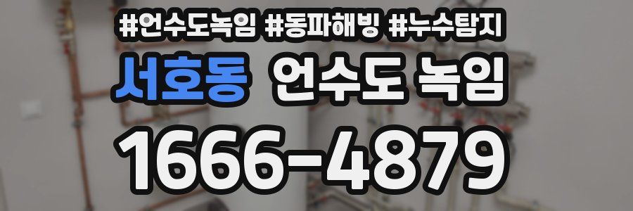 서호동 언수도 녹임