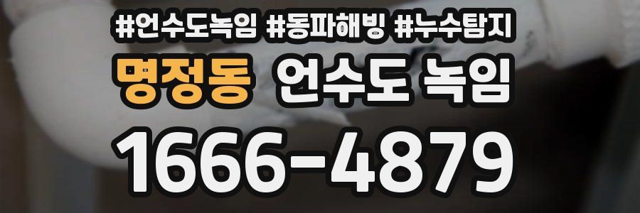 명정동 언수도 녹임