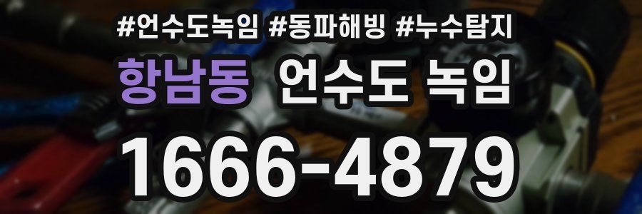 항남동 언수도 녹임