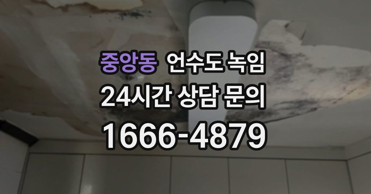 중앙동 언수도 녹임