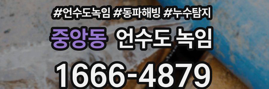 중앙동 언수도 녹임