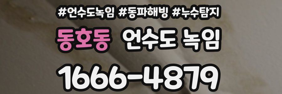 동호동 언수도 녹임