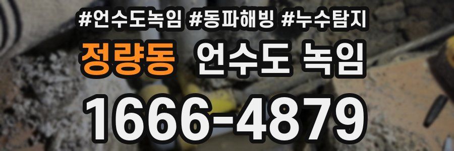 정량동 언수도 녹임