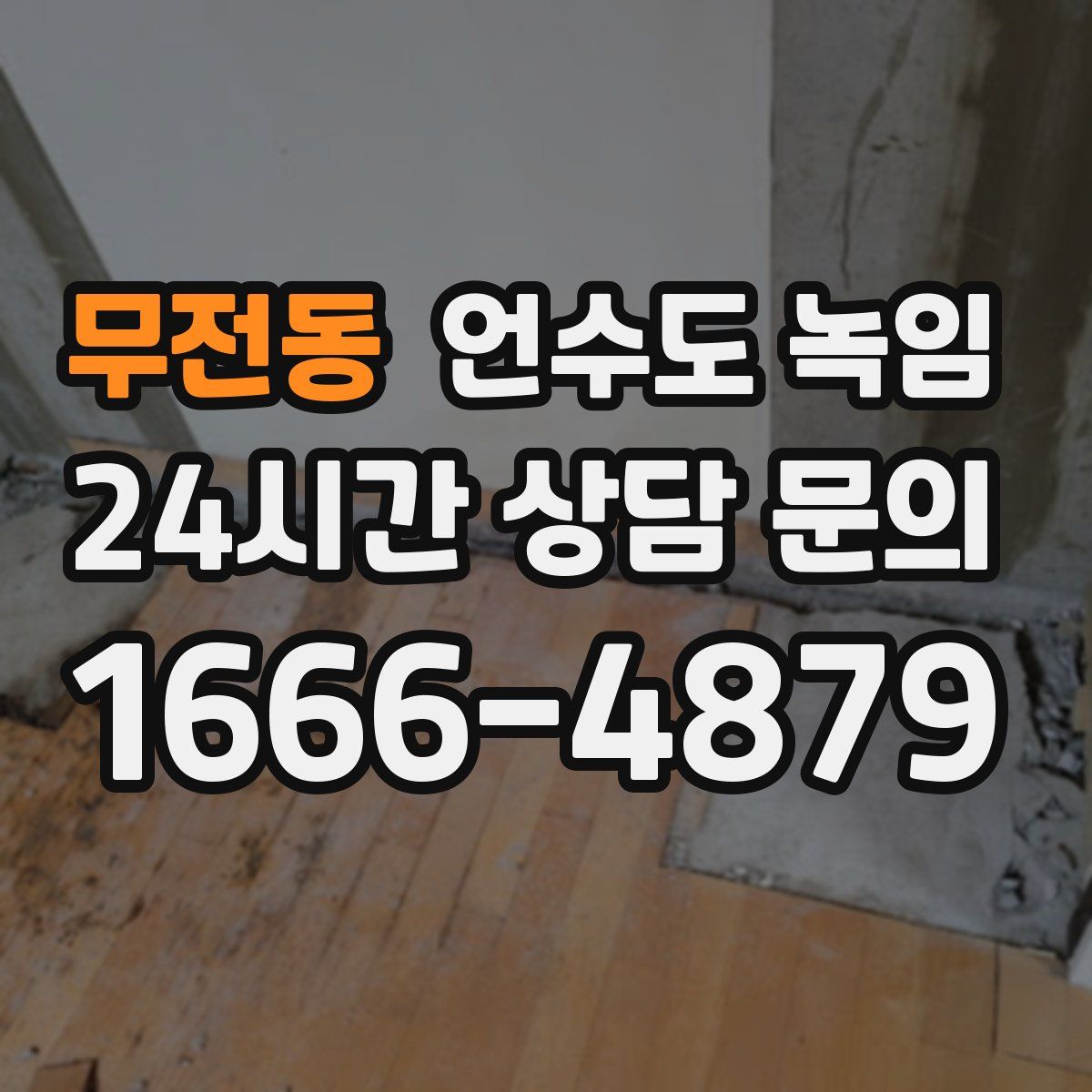 무전동 언수도 녹임