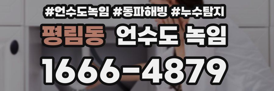 평림동 언수도 녹임