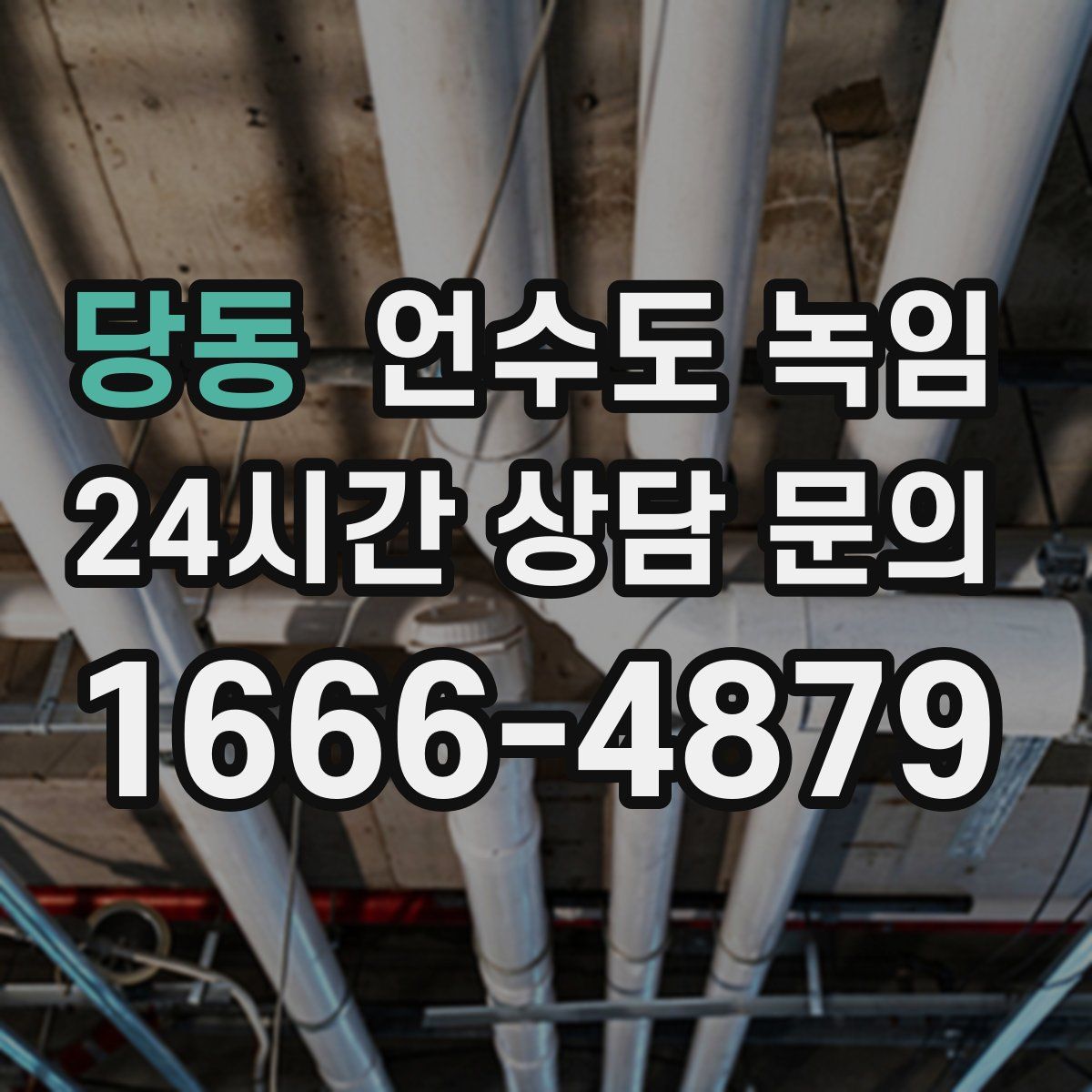 당동 언수도 녹임