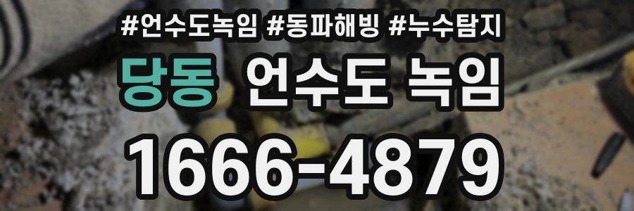 당동 언수도 녹임