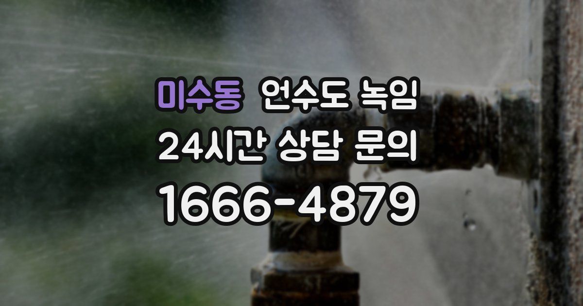 미수동 언수도 녹임