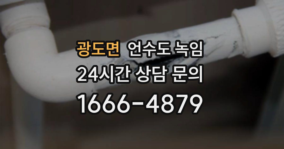 광도면 언수도 녹임