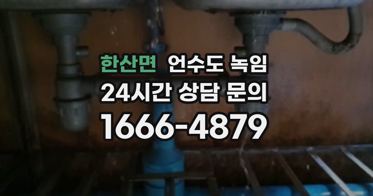 한산면 언수도 녹임