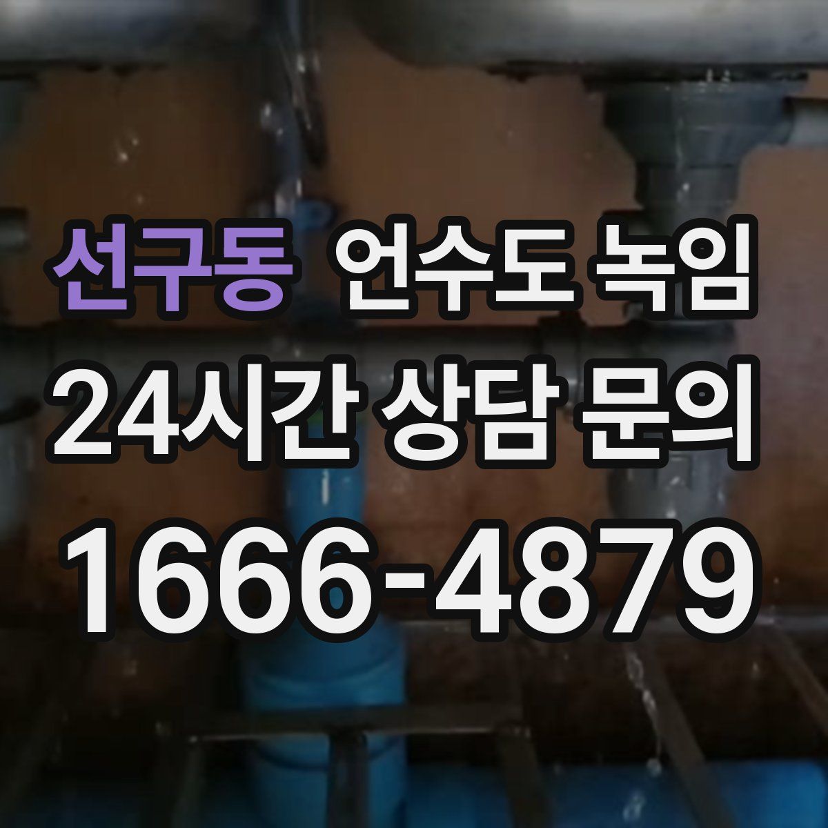 선구동 언수도 녹임