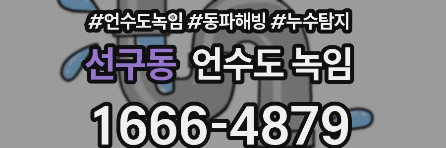 선구동 언수도 녹임