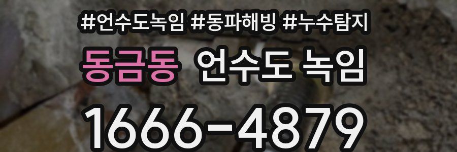 동금동 언수도 녹임