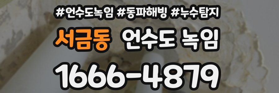 서금동 언수도 녹임