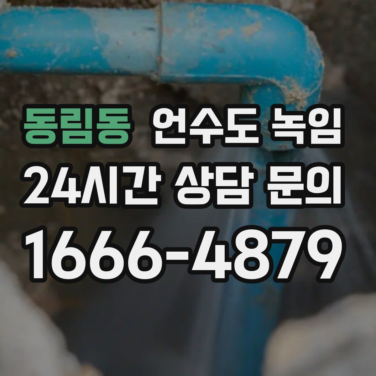 동림동 언수도 녹임