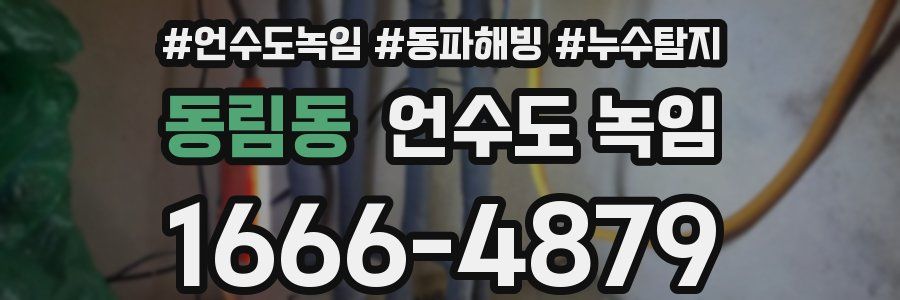 동림동 언수도 녹임