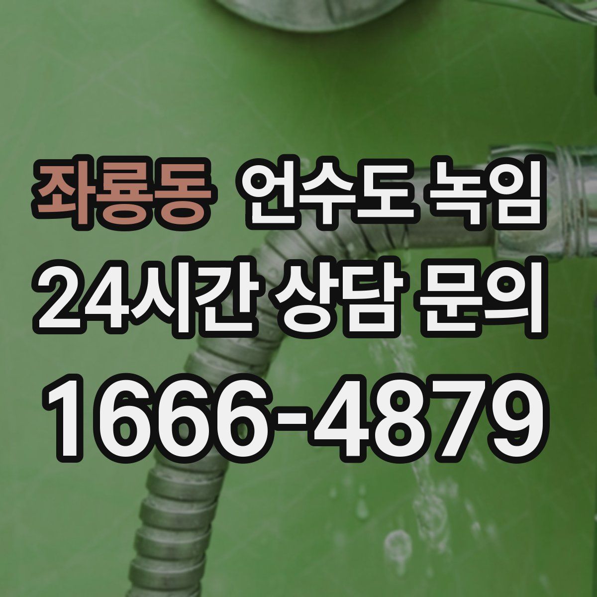 좌룡동 언수도 녹임