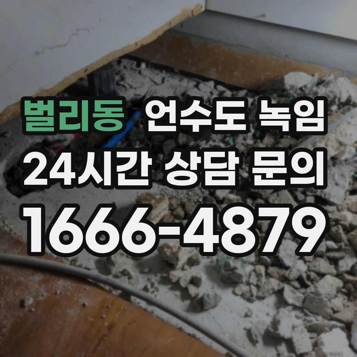 벌리동 언수도 녹임