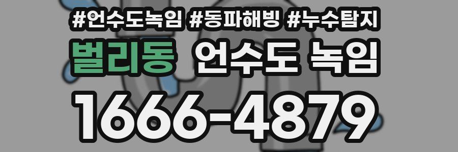 벌리동 언수도 녹임