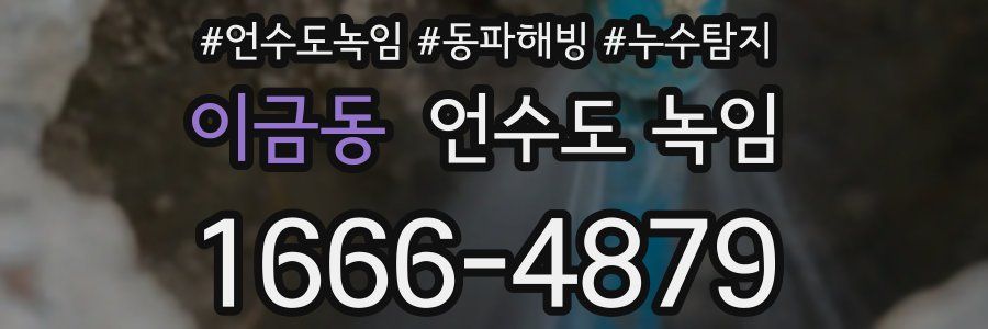 이금동 언수도 녹임