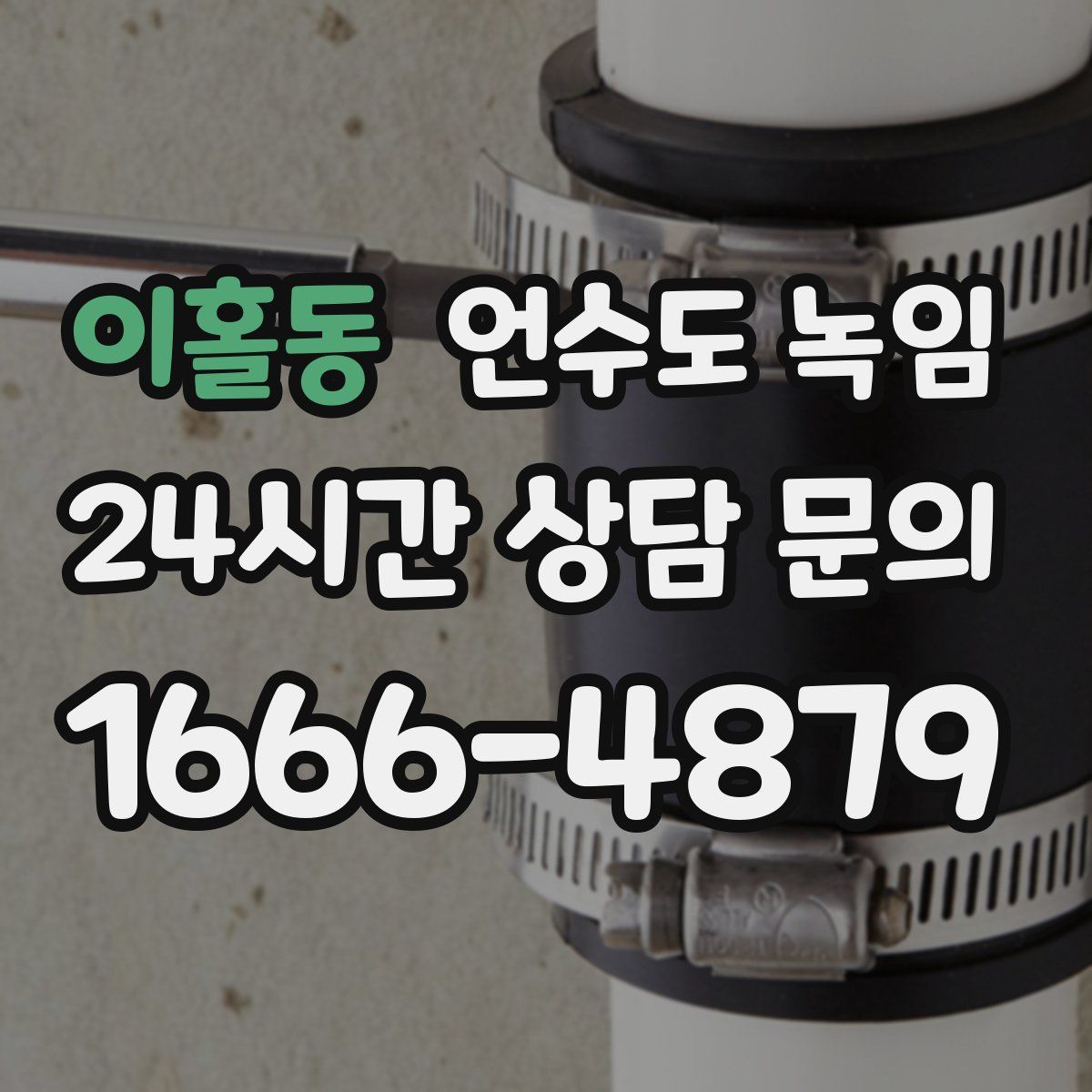 이홀동 언수도 녹임