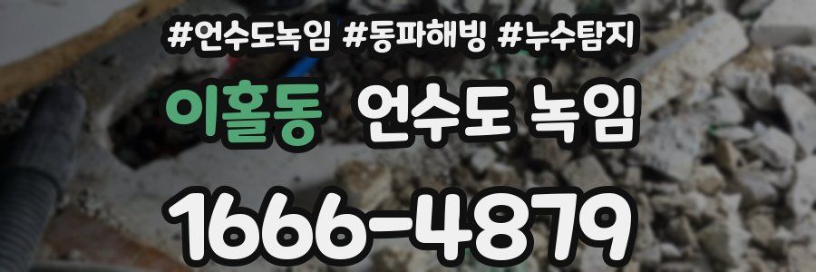 이홀동 언수도 녹임